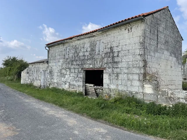 Nettoyage mur extérieur en pierre de taille