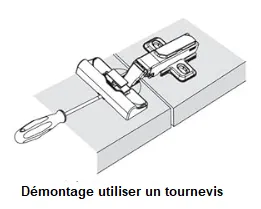 Bonsoir,  Il faut utiliser une lame de tournevis. La mettre