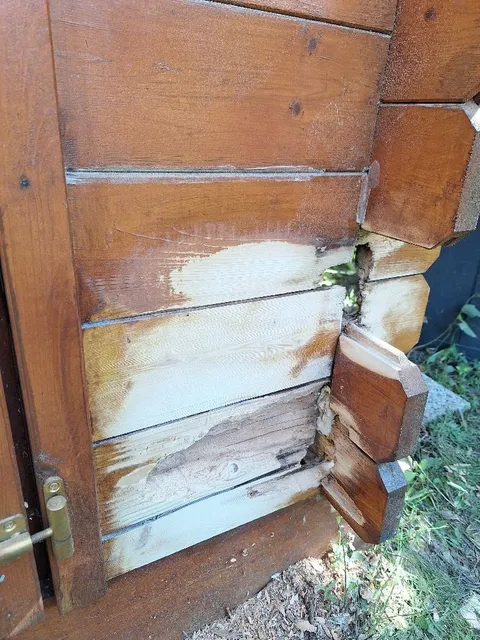 Réparer un abris de jardin en bois