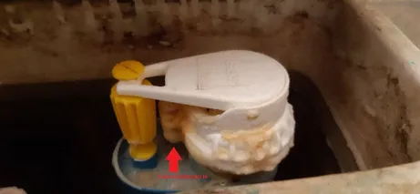 WC fuite d'eau flotteur