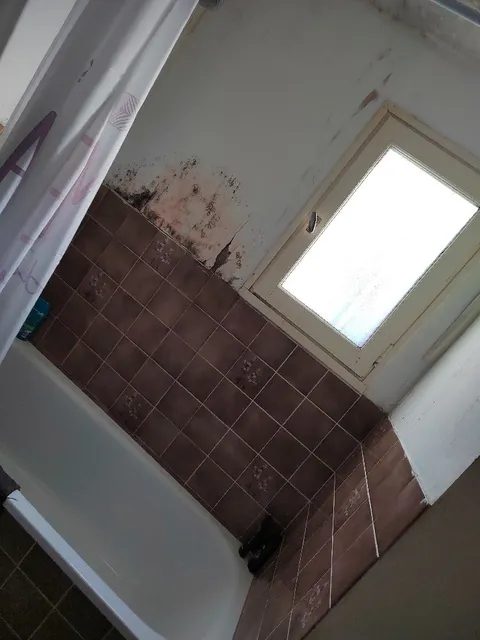 Salle de bain - 4