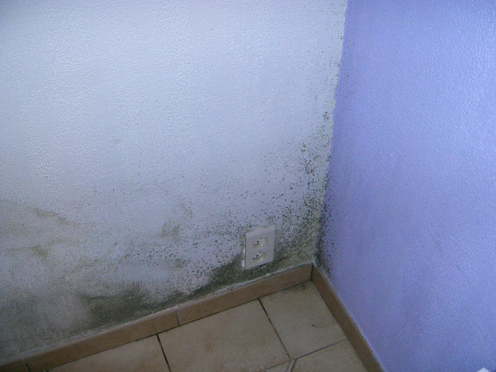 Condensation mur interieur