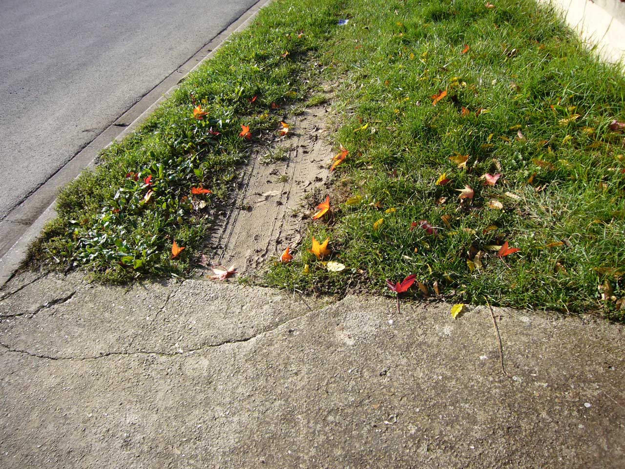 Stabiliser un trottoir en herbe/terre pour passage voiture - 2
