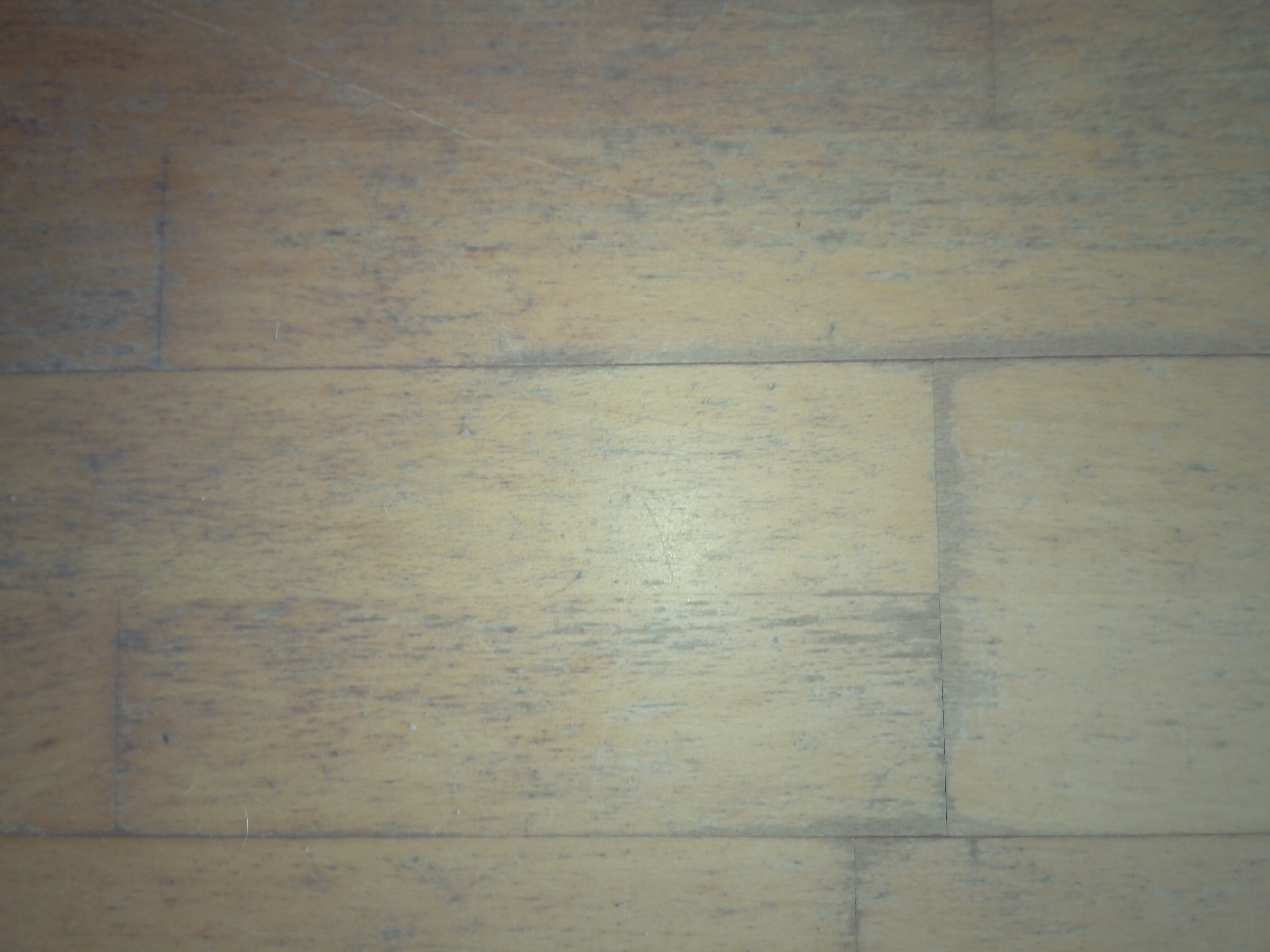 renovation parquet